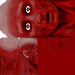 Face_ecorche .jpg